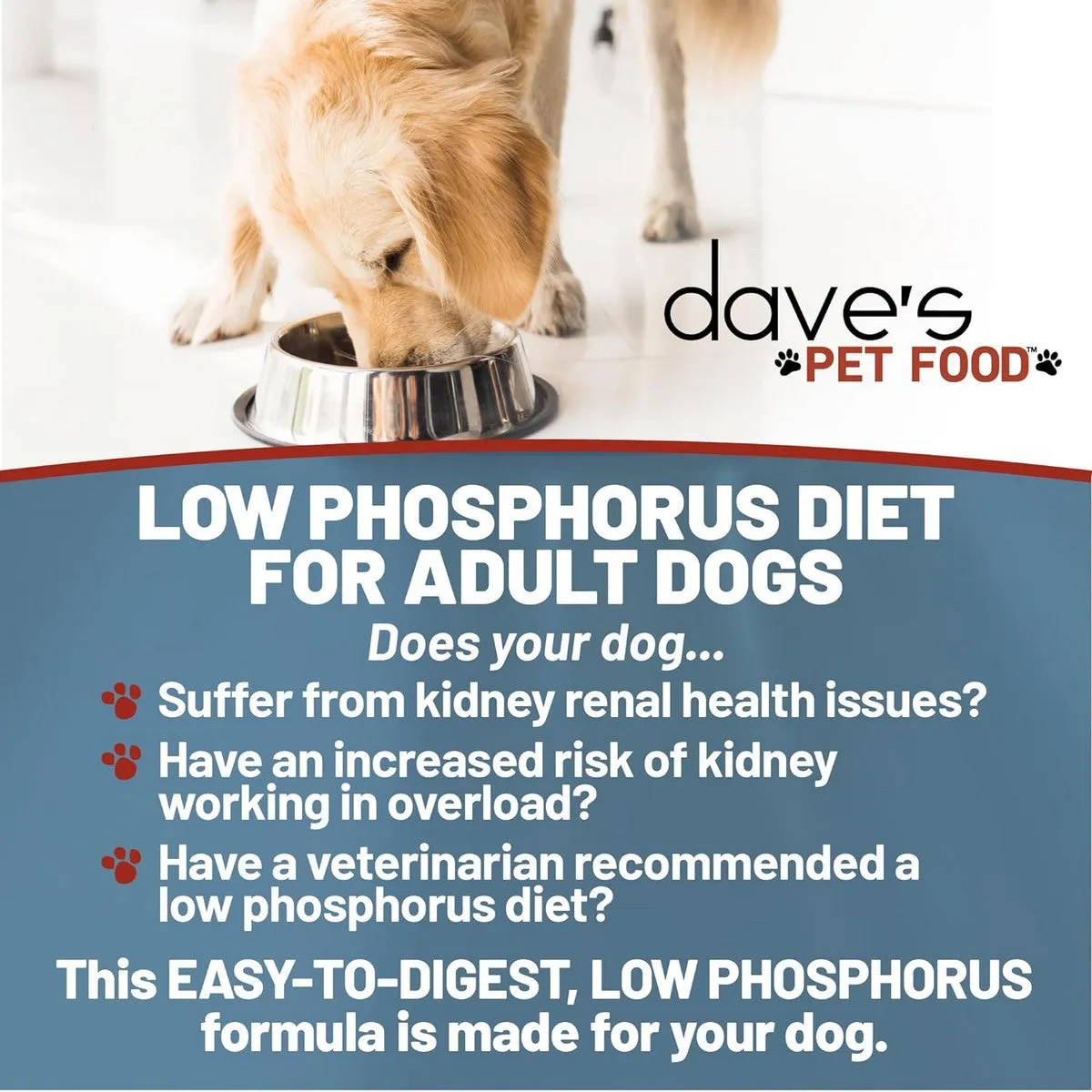 Dave's Pet Food Restricted Phosphorus Crumbles Chicken Dry Dog Food 4lb