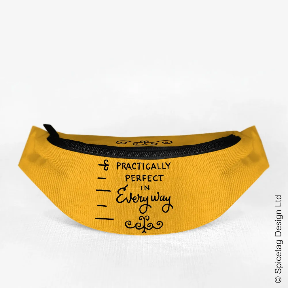 Practically Perfect Bumbag