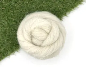 Stricken Lonk Top