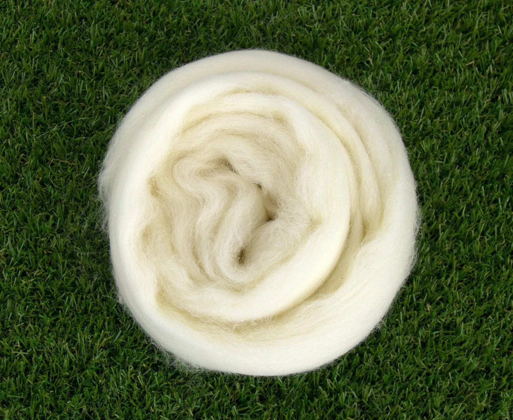 White Southdown Top